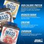 Гейнър Applied Nutrition Critical Mass Gainer Professional, 2.4 кг Гейнър Applied Nutrition Critical Mass Gainer Professional, 2.4 кг