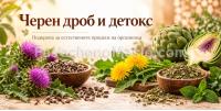 Черен дроб и детокс