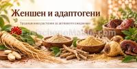 Женшен - Адаптогени