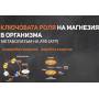 Магнезиев цитрат таблетки с витамин Б6 Allnutrition, 30 таб по 670 мг Магнезиев цитрат таблетки с витамин Б6 Allnutrition, 30 таб по 670 мг