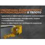 Куркума и Биоперин, Turmeric and BioPerine® MyVitamins Куркума и Биоперин, Turmeric and BioPerine® MyVitamins